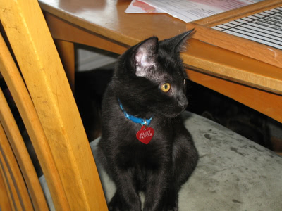 A younger Hairy Pawter sitting on a chair