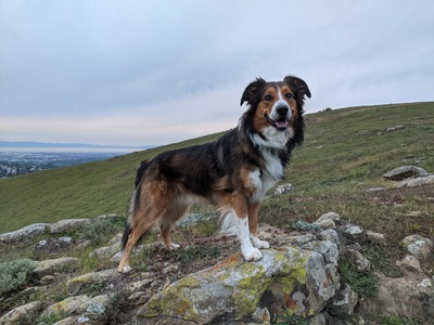 Miles standing on a large, flat rock