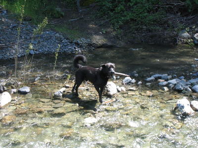 Pablo fetching in a stream
