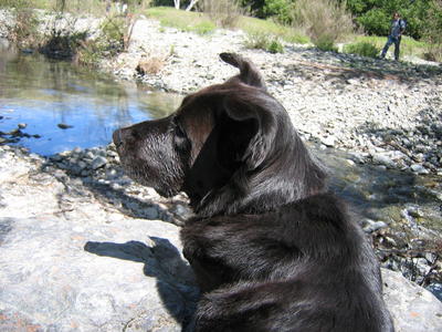 Pablo lying on a rock