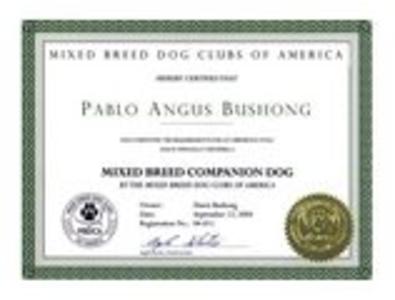 Pablo's MB-CD Title Certificate