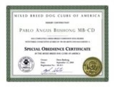 Pablo's MB-CD Special Obedience Certificate