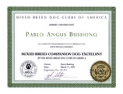 Pablo's MB-CDX Title Certificate