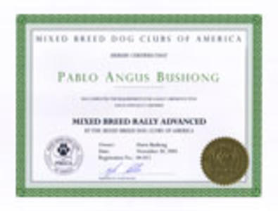 Pablo's MB-RA Title Certificate