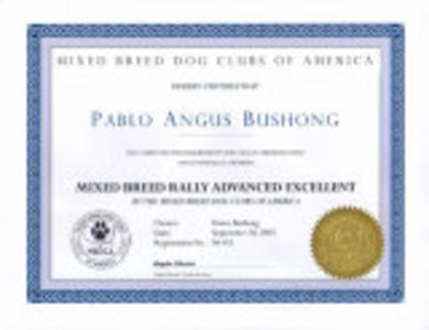 Pablo's MB-RAE Title Certificate