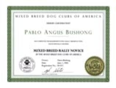 Pablo's MB-RN Title Certificate