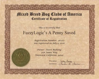 Penny's MBDCA Registration Certificate