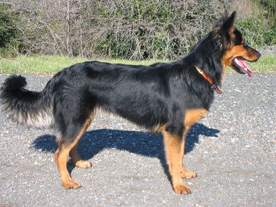 A young Penny standing on a trail