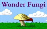 Wonder Fungi Strikes Back