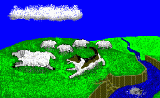 Collie dog herding sheep