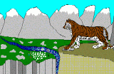 Tiger on a cliff, looking at distant sheep