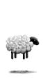 A floating sheep