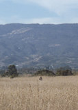Boy in field in front of hills