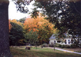 House surrounded by autumn trees