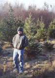 Dave standing among Christmas trees