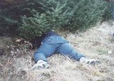 Marc Michaud sawing away at a Christmas tree