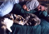 Dave, Kirby, and Cammy sleeping on the bed