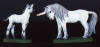 White unicorn mare and foal